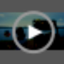 Load image into Gallery viewer, 11