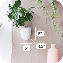 Load image into Gallery viewer, Self-Watering Plastic Wall Planter with Easy Install and Lightweight Design for Indoor Vertical Gardens, White (6-Pack)