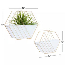 Load image into Gallery viewer, 10In. Medium White Metal Geometric Indoor Outdoor Hanging Wall Planter (2- Pack)