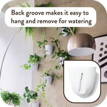 Load image into Gallery viewer, Self-Watering Plastic Wall Planter with Easy Install and Lightweight Design for Indoor Vertical Gardens, White (6-Pack)