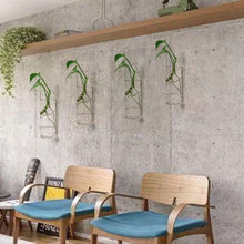 Load image into Gallery viewer, 4.7 In. X 4.7 In. Clear Glass Hanging Wall Planters-4 Pack Terrarium Plant Holders for Indoor Plants