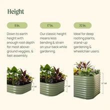 Load image into Gallery viewer, Raised Garden Bed Kit, 17 In. Tall 10-In-1 Modular, Metal Planter Box for Vegetables, Flowers, Herbs, Terra Cotta