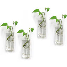 Load image into Gallery viewer, 4.7 In. X 4.7 In. Clear Glass Hanging Wall Planters-4 Pack Terrarium Plant Holders for Indoor Plants