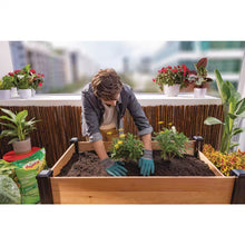 Load image into Gallery viewer, Cedar Wood Elevated Raised Garden Bed with Shelf and Vinyl Legs (45.5 In. L X 24 In. W X 32 In. H)