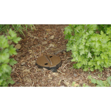 Load image into Gallery viewer, Adjustable Deep Root Watering System 9 In. - 22 In.