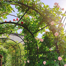Load image into Gallery viewer, 86.6 In. Black Metal Garden Trellis Climbing Plants Support Rose Arch Outdoor Arch