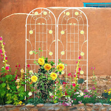 Load image into Gallery viewer, 71 In. Cream White Metal Garden Trellis for Climbing Plants Rustproof Outdoor Flower Support (4-Pack)