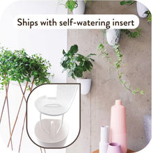 Load image into Gallery viewer, Self-Watering Plastic Wall Planter with Easy Install and Lightweight Design for Indoor Vertical Gardens, White (6-Pack)
