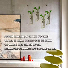 Load image into Gallery viewer, 4.7 In. X 4.7 In. Clear Glass Hanging Wall Planters-4 Pack Terrarium Plant Holders for Indoor Plants