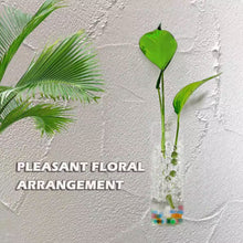 Load image into Gallery viewer, 4.7 In. X 4.7 In. Clear Glass Hanging Wall Planters-4 Pack Terrarium Plant Holders for Indoor Plants