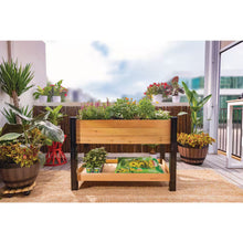 Load image into Gallery viewer, Cedar Wood Elevated Raised Garden Bed with Shelf and Vinyl Legs (45.5 In. L X 24 In. W X 32 In. H)
