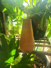 Load image into Gallery viewer, Terracotta Olla with Lid ~ Handmade Garden Irrigation Watering Spike ~ Small Self Watering for Planter