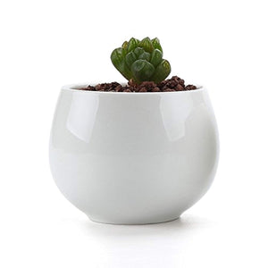 2.5/2.75/2.75 Inch Ceramic Succulent Plant Pot/Cactus Plant Pot Flower Pot/Container/Planter Package 1 Pack of 6