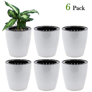 SAND MINE Self Watering Planter White Flower Pot (6, S)