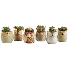 Load image into Gallery viewer, Sun-E 2.5 Inch Owl Pot Ceramic Flowing Glaze Base Serial Set Succulent Plant Pot Cactus Plant Pot Flower Pot Container Planter Bonsai Pots with A Hole Perfect Gift Idea 6 in Set