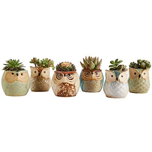 Sun-E 2.5 Inch Owl Pot Ceramic Flowing Glaze Base Serial Set Succulent Plant Pot Cactus Plant Pot Flower Pot Container Planter Bonsai Pots with A Hole Perfect Gift Idea 6 in Set