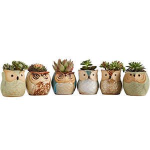 Sun-E 2.5 Inch Owl Pot Ceramic Flowing Glaze Base Serial Set Succulent Plant Pot Cactus Plant Pot Flower Pot Container Planter Bonsai Pots with A Hole Perfect Gift Idea 6 in Set