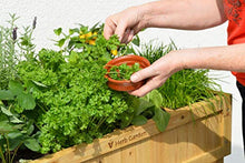 Load image into Gallery viewer, VegTrug 8 Pocket Herb Garden