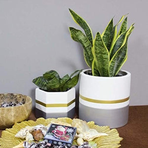 7 Inches Pack of 2 White Ceramic Flower Pot Indoor Planters for Plants, with Drainage Hole, Gold Trim and Silver Detailing, by D'vine Dev