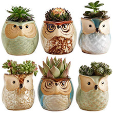 Load image into Gallery viewer, Sun-E 2.5 Inch Owl Pot Ceramic Flowing Glaze Base Serial Set Succulent Plant Pot Cactus Plant Pot Flower Pot Container Planter Bonsai Pots with A Hole Perfect Gift Idea 6 in Set
