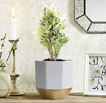 Load image into Gallery viewer, White Ceramic Flower Pot Garden Planters 6.5 Inch Pack 2 Indoor, Plant Containers with Gold and Grey Detailing