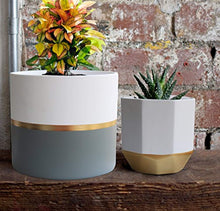 Load image into Gallery viewer, White Ceramic Flower Pot Garden Planters 6.5 Inch Pack 2 Indoor, Plant Containers with Gold and Grey Detailing
