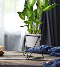 Load image into Gallery viewer, Nordic fleshy flower pots wrought iron vase simple iron frame flower stand ceramic hydroponic flower pot green planter set