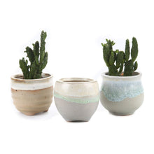 Load image into Gallery viewer, 2.5/2.75/2.75 Inch Ceramic Succulent Plant Pot/Cactus Plant Pot Flower Pot/Container/Planter Package 1 Pack of 6
