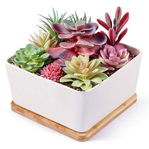 6 Inch Modern White Ceramic Round Succulent Cactus Planter Pot with Drainage Bamboo Tray,Decorative Garden Flower Holder Bowl