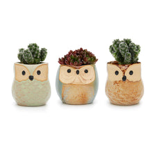 Load image into Gallery viewer, 2.5/2.75/2.75 Inch Ceramic Succulent Plant Pot/Cactus Plant Pot Flower Pot/Container/Planter Package 1 Pack of 6