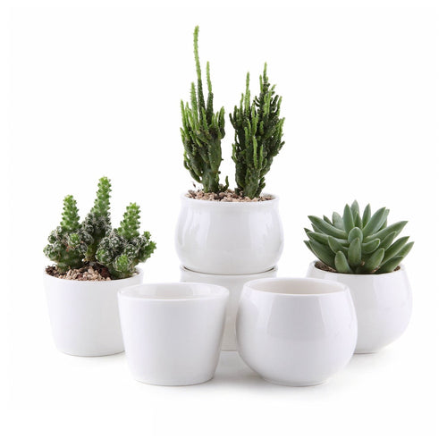 2.5/2.75/2.75 Inch Ceramic Succulent Plant Pot/Cactus Plant Pot Flower Pot/Container/Planter Package 1 Pack of 6
