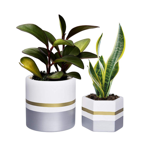 7 Inches Pack of 2 White Ceramic Flower Pot Indoor Planters for Plants, with Drainage Hole, Gold Trim and Silver Detailing, by D'vine Dev