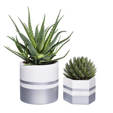 Load image into Gallery viewer, 7 Inches Pack of 2 White Ceramic Flower Pot Indoor Planters for Plants, with Drainage Hole, Gold Trim and Silver Detailing, by D&#39;vine Dev