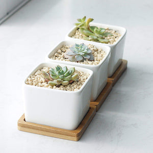 Pack of 3 Succulent Planters Planter Pots 2.2" White Ceramic Square Planters Green Plant Pots Cactus Planters with Bamboo Tray Vases
